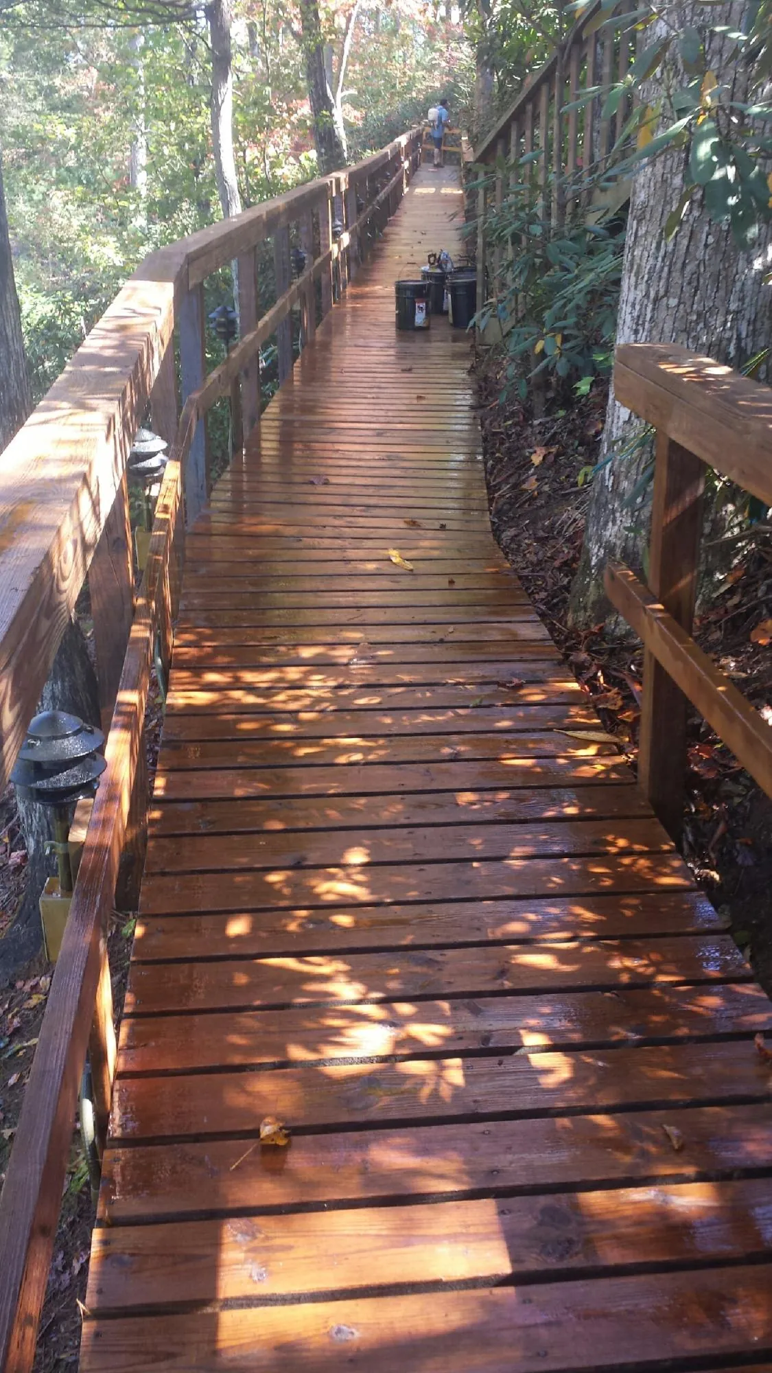 Freshly stained wood walkway winding through the woods in Dayton